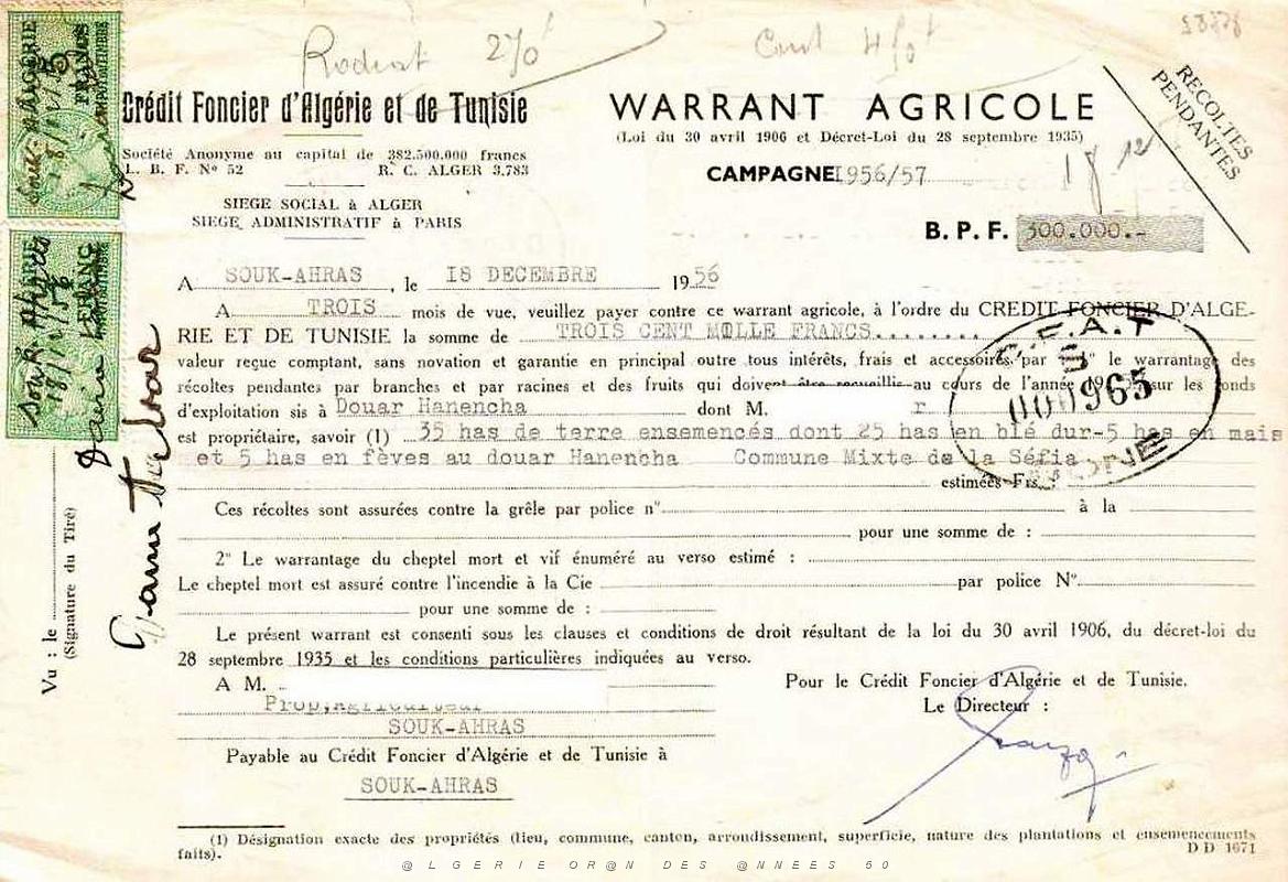 Oran documents divers 153.jpg